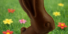 Long Ears Rabbit - solid milk or white chocolate